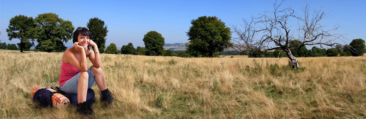 Toeristisch management