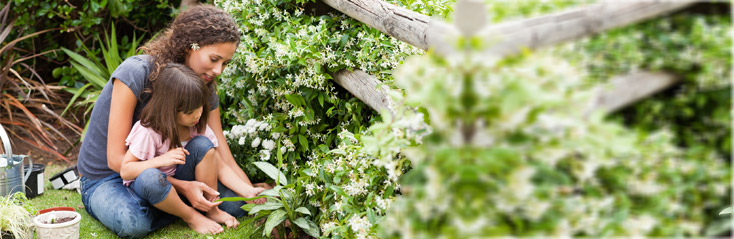 Tuinarchitectuur met Rob Verlinden