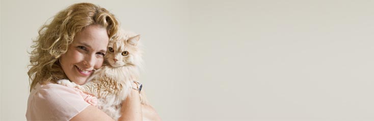 Doorstroomopleiding Dierenartsassistent