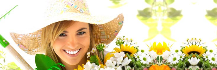 Tuinieren met Rob Verlinden