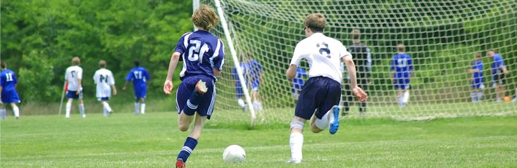 	Basisopleiding Sport en bewegen	