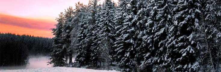 Zweeds voor beginners