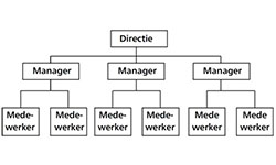 Organigram